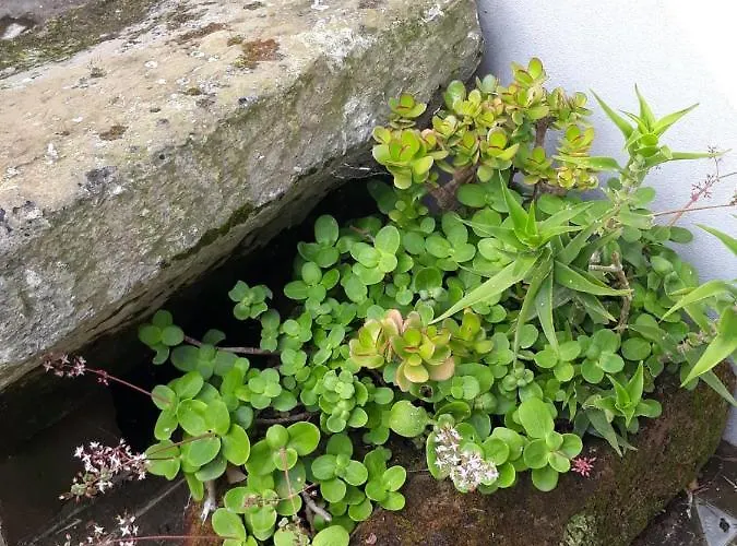 Ocean - Casa Sao Joao - 4 Star Tourist アングラ・ド・エロイーズモ