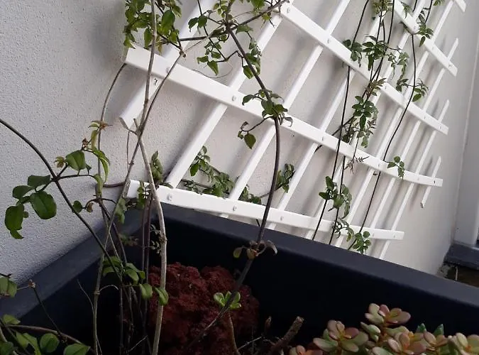 Ocean - Casa Sao Joao - 4 Star Tourist アパート アングラ・ド・エロイーズモ