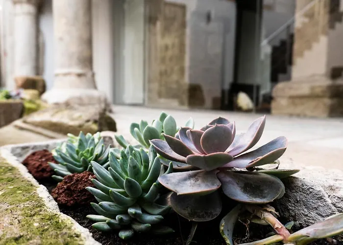 Ocean - Casa Sao Joao - 4 Star Tourist *