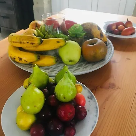 Ocean - Casa Sao Joao - 4 Star Tourist Apartamento