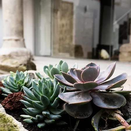 Ocean - Casa Sao Joao - 4 Star Tourist *