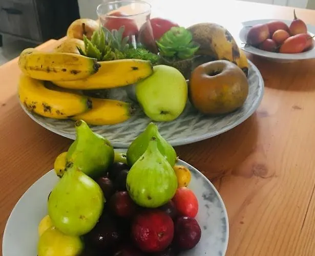 Ocean - Casa Sao Joao - 4 Star Tourist Apartment