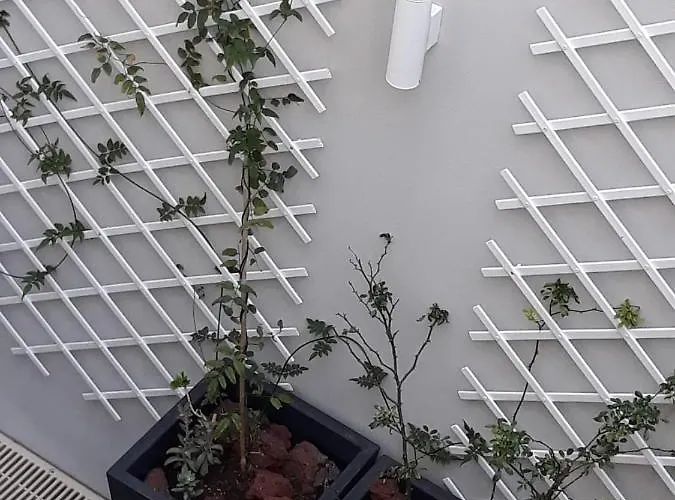 Ocean - Casa Sao Joao - 4 Star Tourist Angra do Heroismo